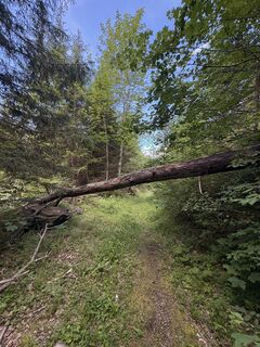 Photo de Stucki Sven le long du parcours