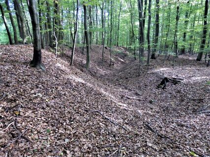 Ettlinger Linien