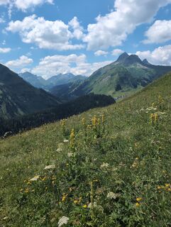 Foto von Lars Dietrich 1 entlang der Tour