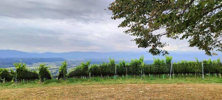 Fotografija s spletne strani Kurt Trieb na poti