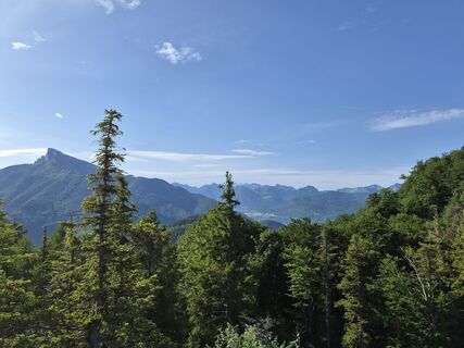 Fotografija s spletne strani Maggik na poti