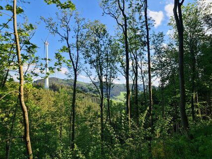 Foto von W B MA entlang der Tour