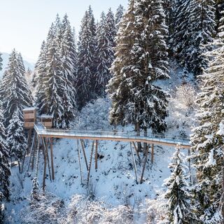 Baumwipfelpfad Winter