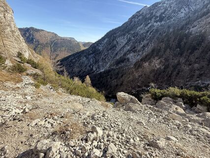 Foto von Natur_erleben_dg entlang der Tour