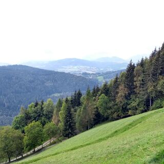 Aussicht am Wanderweg
