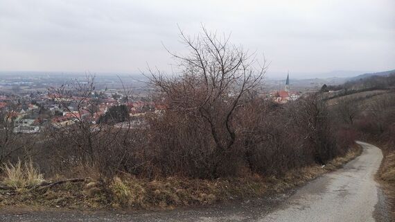 Blick auf Gumpoldskirchen kurz nach Start der Tour
