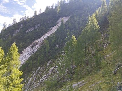 Fotografia z Heinz Blümel na trase