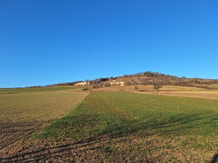 Fotografia z Andrea Roschek na trase