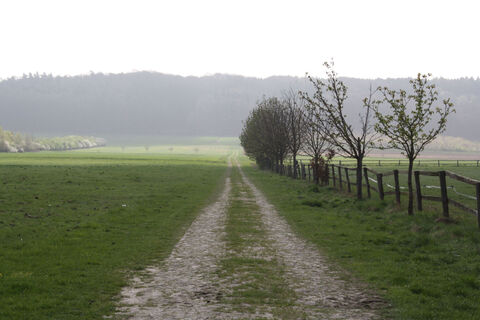 Blick auf Feldweg zu den Stemweder Bergen.jpg