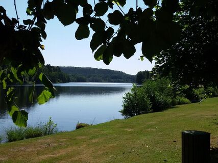 Etang d'Haspelscheidt