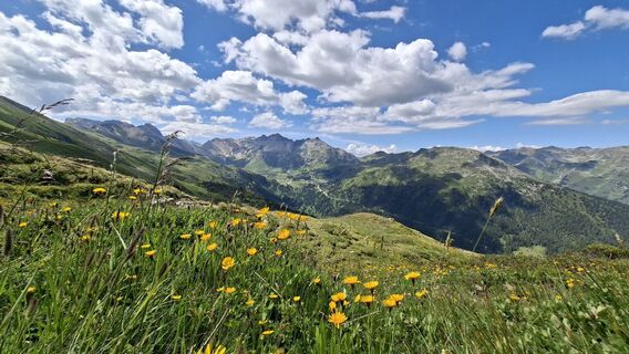 Foto von Martin Kreidl 3 entlang der Tour