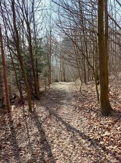 Zdjęcie z Thomas Walzl wzdłuż trasy