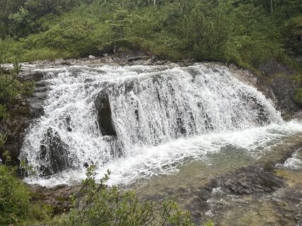 Fotografia z Grizzli na trase