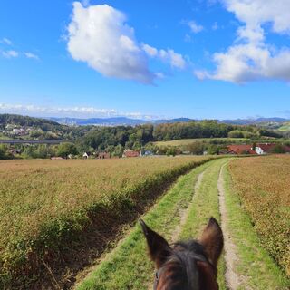 Foto van Sonja Enzenhofer langs de tour