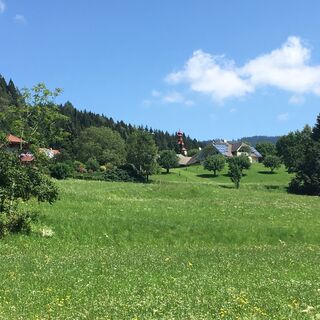 Blick auf Gaisberg