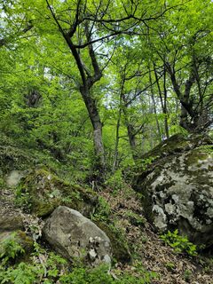 san martino, montecalvo