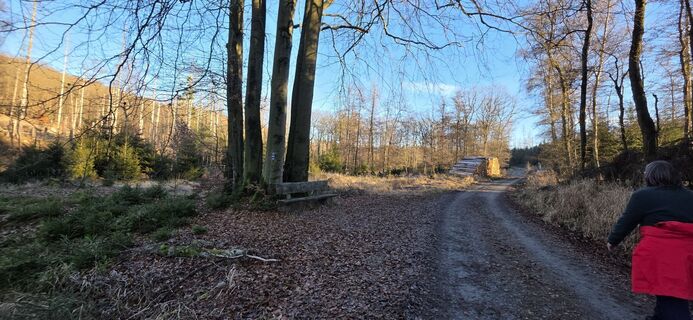 Photo de Michael Ganswind le long du parcours
