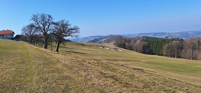 Zdjęcie z Manuela bischof wzdłuż trasy