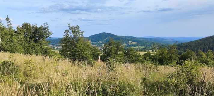 Foto da Jan 2505 lungo il tour