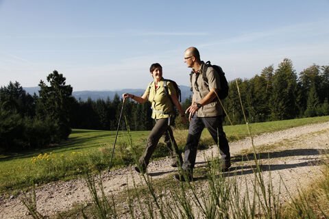 Wanderer am Sohlberg