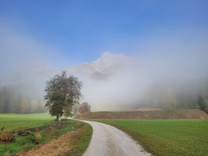 Fotografia z schenkeli na trase