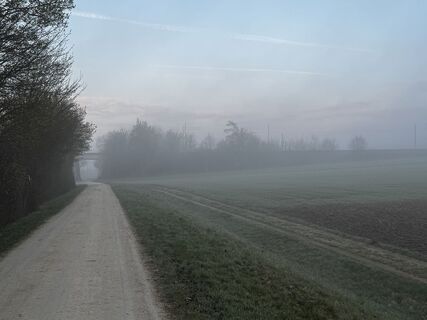 Fotografia z Schaali na trase