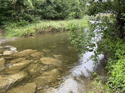 Foto von Amiks entlang der Tour