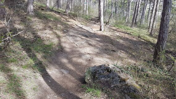 Fotografia z Bernard na trase