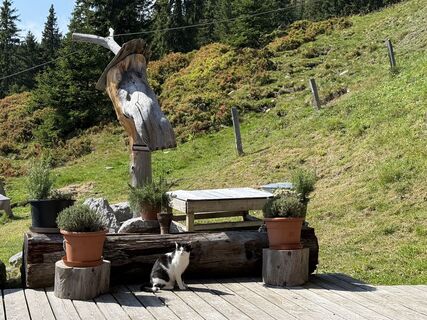 Foto von Daniella De Wolde entlang der Tour