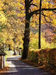Gänsbrunnstraße Aigen