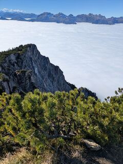 Foto von Andreas Wind 1 entlang der Tour