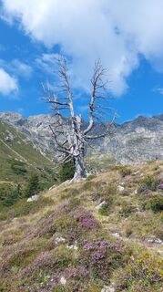 Foto von Stefan TAFERNER entlang der Tour