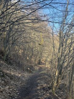 Foto von Frank Fenhahn entlang der Tour