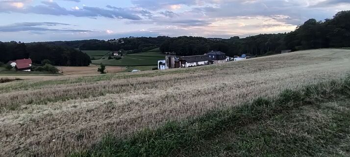 Fotografia z wolfkl na trase