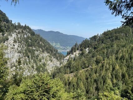 Photo de Elisabeth Wiesinger le long du parcours
