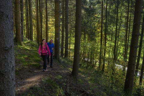 Zwei Personen wandern über die Rothaarsteig-Spur Sorper Panoramapfad