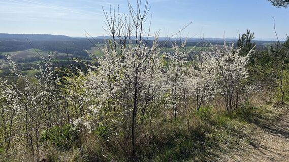 Foto de Thomas Trautwein a lo largo del recorrido