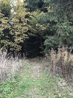Photo de Steirer Bua le long du parcours