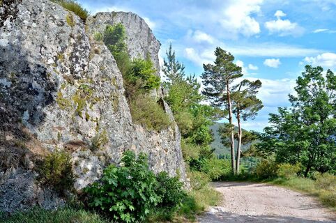 Auf den Höhen von Fréland - Felsen