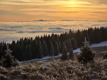 Foto von TwilightTea entlang der Tour