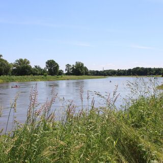 Elbe bei Belgern