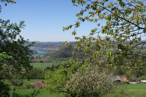 Blick Hochrhein