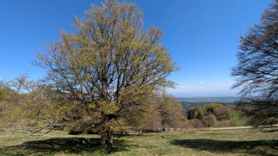 Photo de Richard Schwald le long du parcours