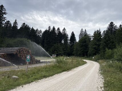 Foto von Heinz Sperl entlang der Tour