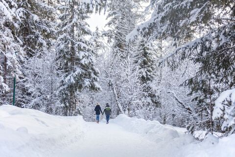 Winterwandern PillerseeTal © defrancesco (152).jpg