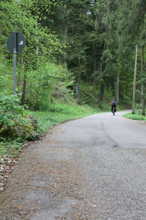 Schaubenwald im Schießtal