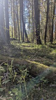Zdjęcie z Andrea Diessl wzdłuż trasy
