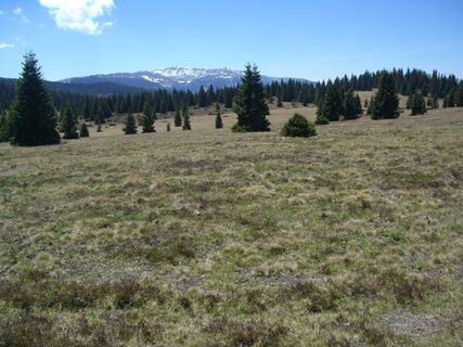 Blick zur Koralm
