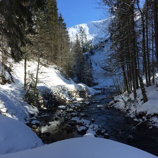 Schatten-Sonnen-Spiele am Schwarzwasserbach