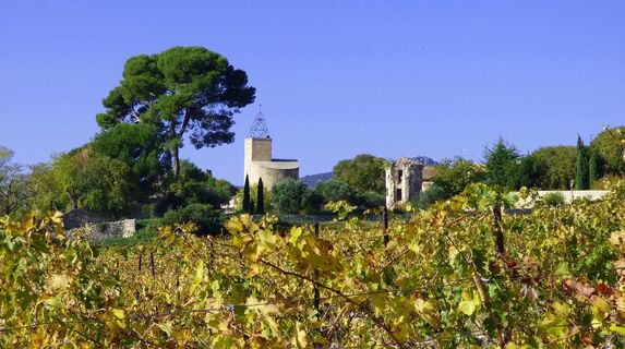 Weinberge_von_Montpeyroux_-_E_Brendle4